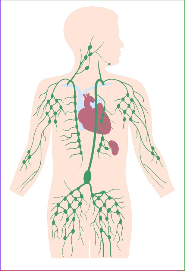 Couverture drainage lymphatique kiné